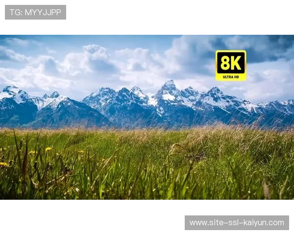 8K+HDR双标准落地，色彩还原度达影视级水平